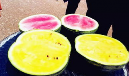 各种普通人吃瓜爆料